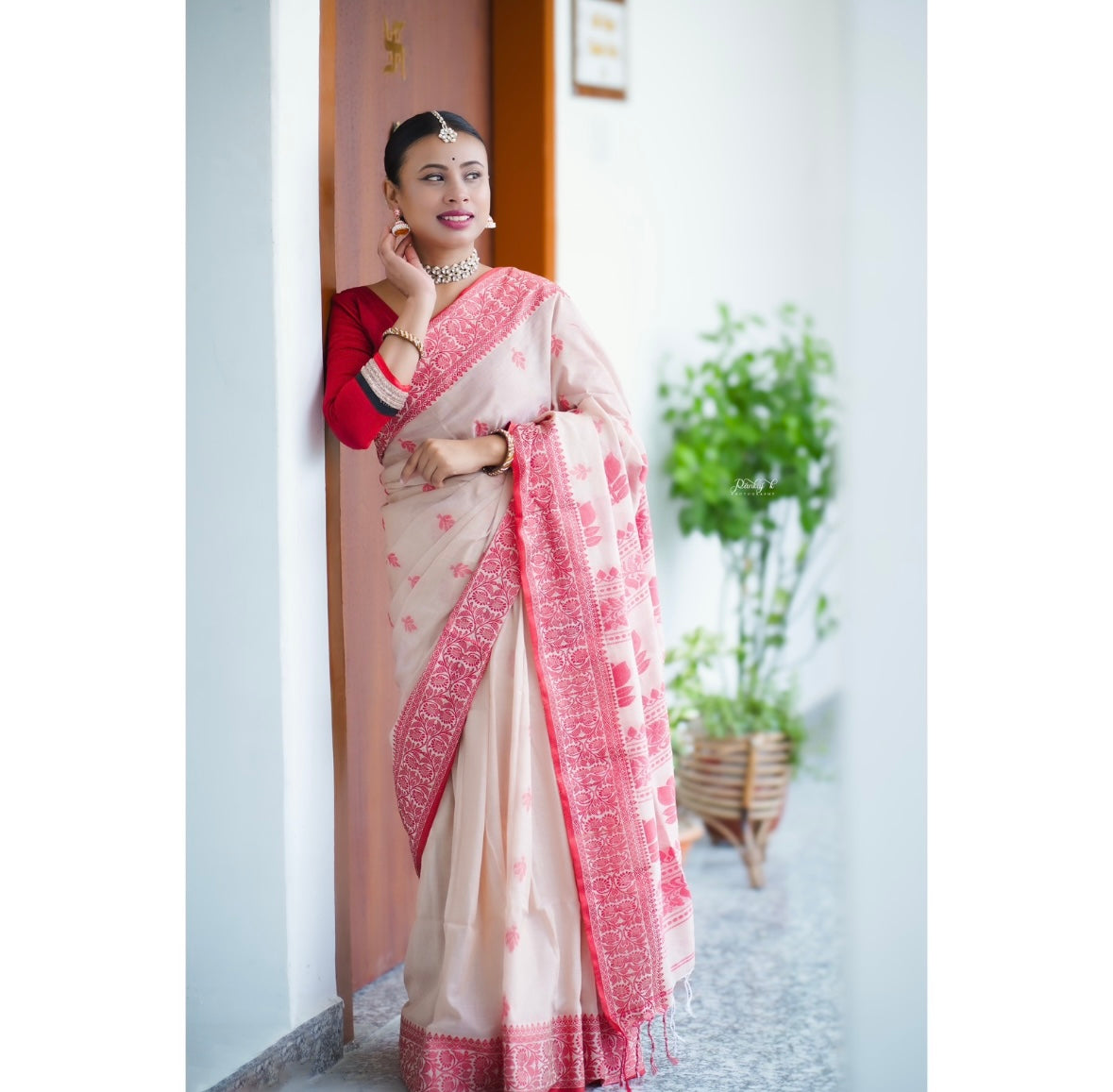 Padmini cotton saree